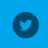 twitterIcon